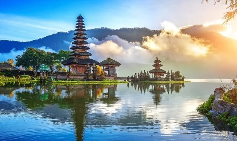 BALI Cooking