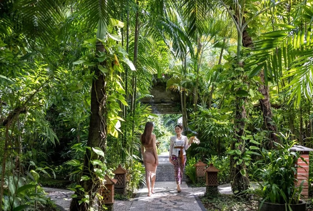 BALI Cooking